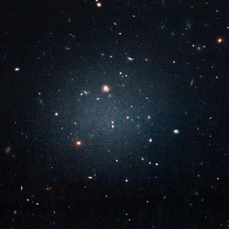Black matter and energy unify with negative gravity fluid